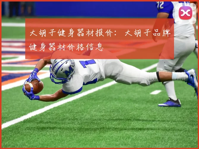 大胡子健身器材报价:大胡子品牌健身器材价格信息