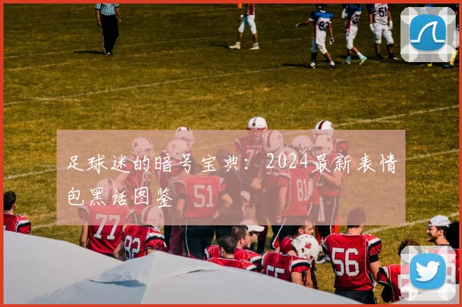 足球迷的暗号宝典：2024最新表情包黑话图鉴