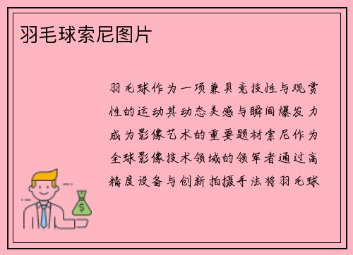 羽毛球索尼图片