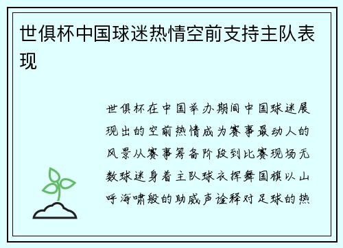 世俱杯中国球迷热情空前支持主队表现