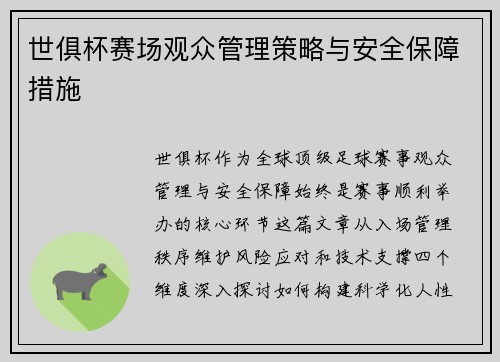 世俱杯赛场观众管理策略与安全保障措施